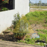 Đất đẹp đường Nguyễn Tường Phổ (Bàn Thạch) – diện tích 8×25 (200m2)-medium