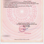 Bán đất trục đường 27m đi biển Tam Thanh 180m2 – diện tích 6x30m (Quảng Phú)-medium